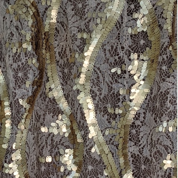 Matt Gold Sequin and Lace Dress - Picture 3 of 4